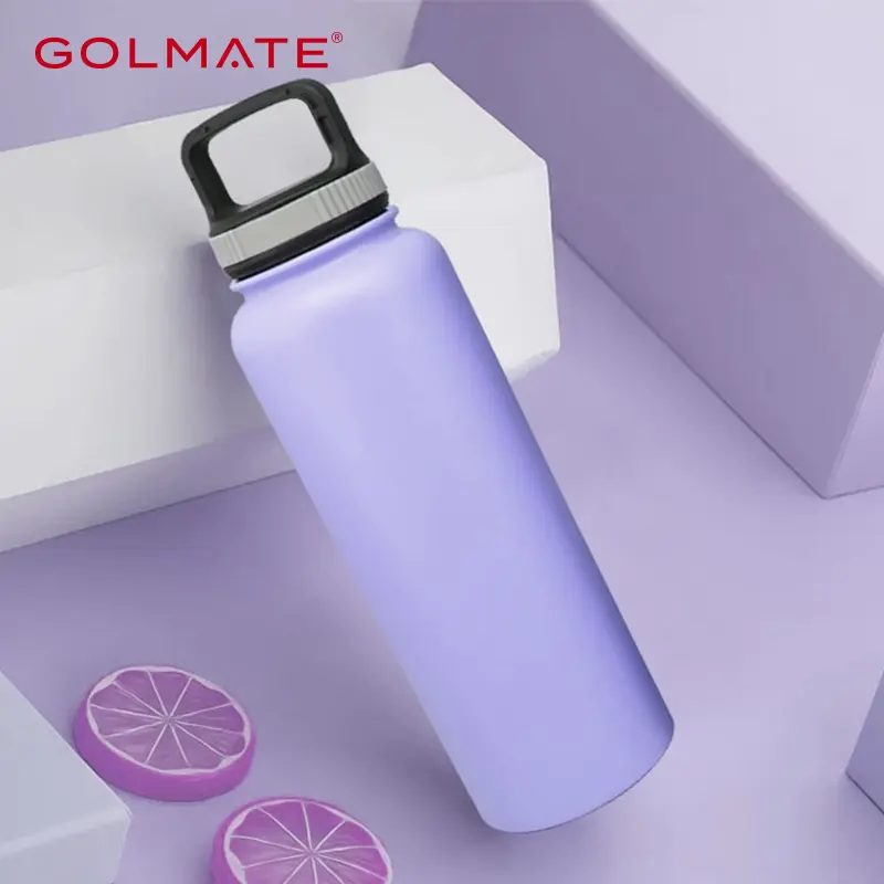 Double Wall Vacuum Water Bottle with Handle Lid Wholesale