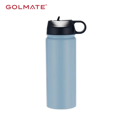 Wholsale Stainless Steel Water Bottle with Straw Lid & Multiple Size Available-copy-1701222466